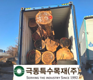 일본산 스기(삼나무) 통 원목 1…