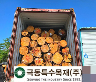 후쿠오카산 히노끼 대경목 2CN …