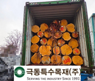 후쿠오카산 히노끼 대경목 3CN …